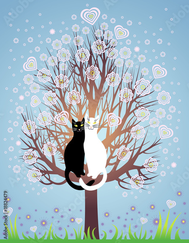 In love cats on a flowering tree