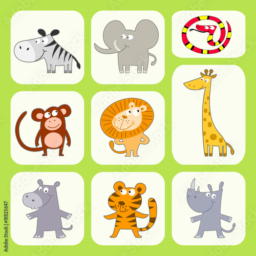 Jungle animals collection