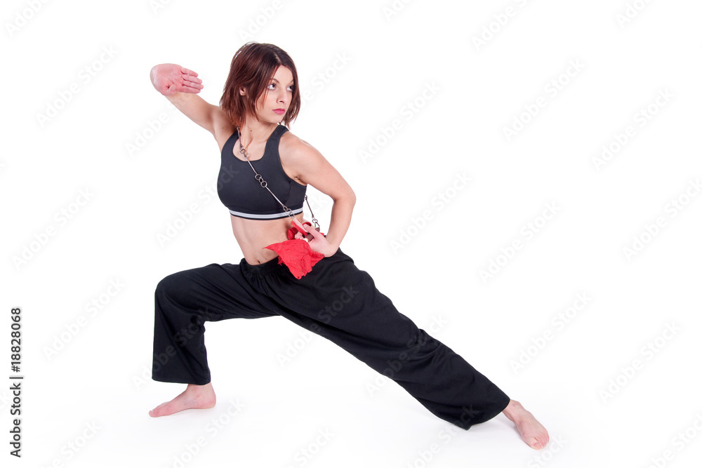Kungfu Girl Kungfu Girl