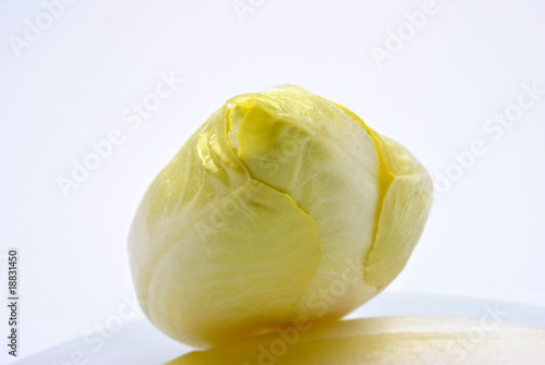 one organic chicory and a white background