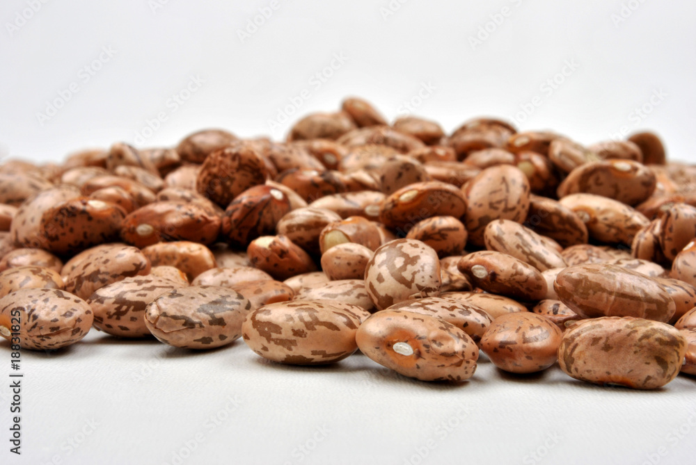organic pinto beans are good for stew or soup organic pinto beans are good for stew or soup
