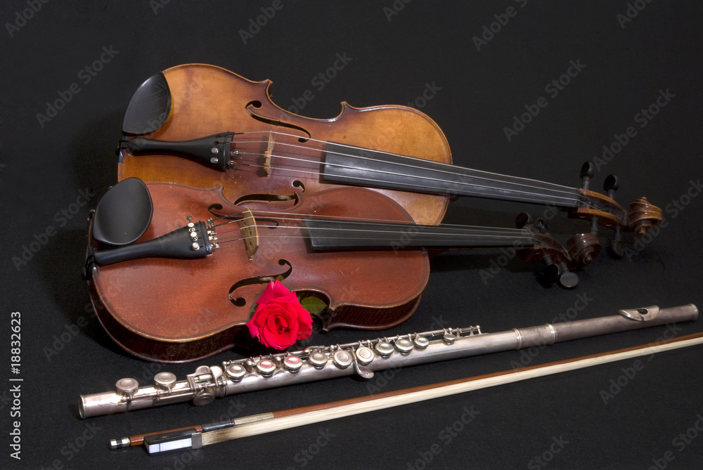Fototapeta premium Vila, violino, flauto traverso ed arco
