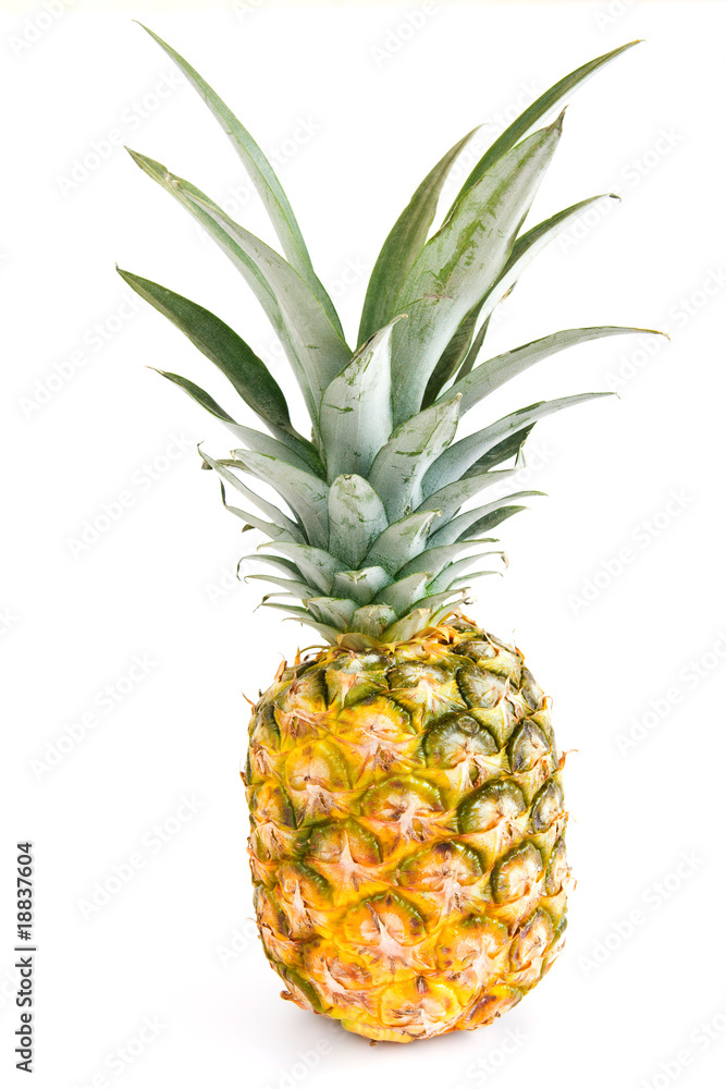 Pineapple isolated on white Pineapple isolated on white