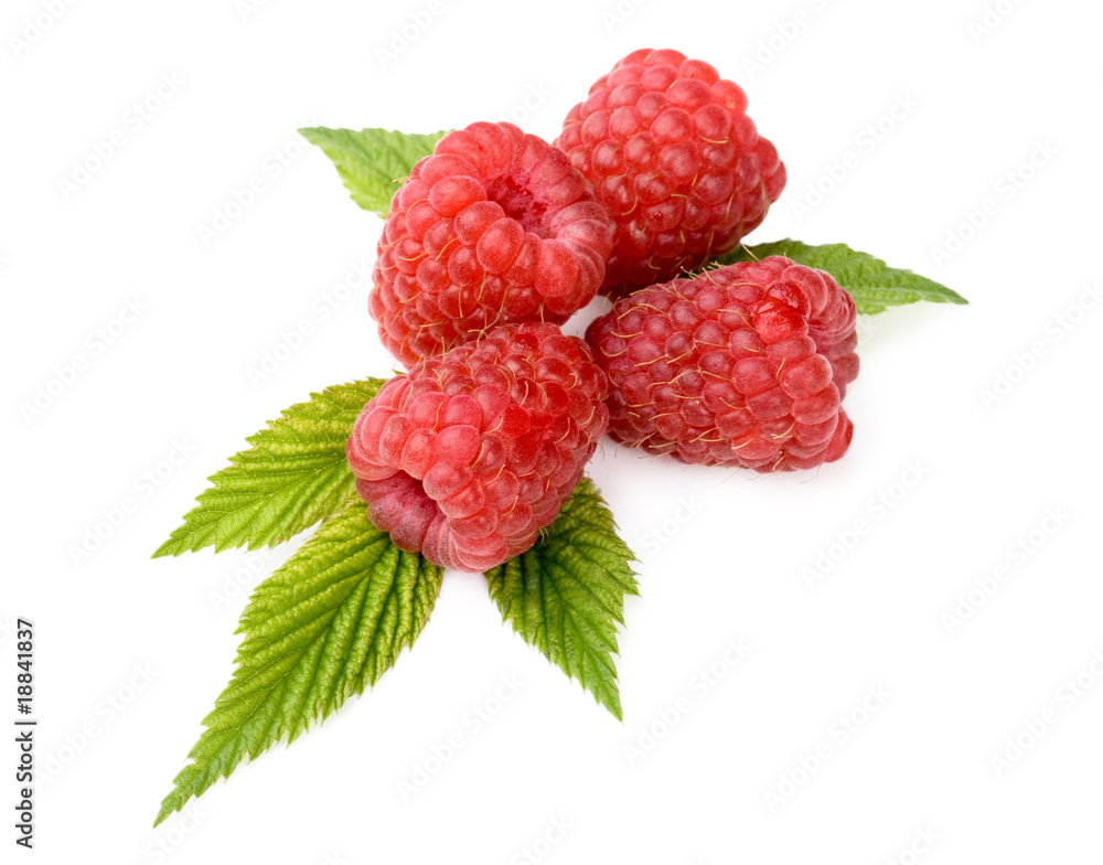 Raspberries on white background Raspberries on white background
