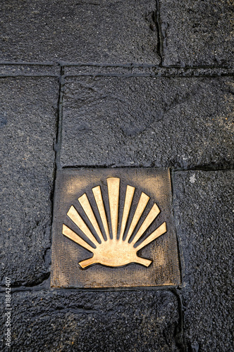 Venera en el Camino de Santiago