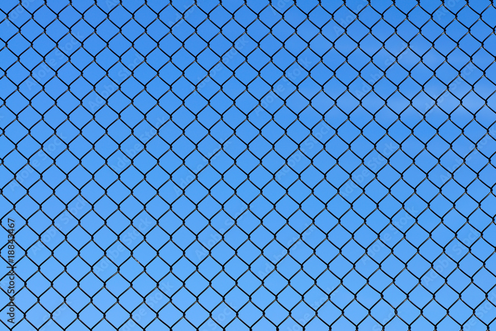 Fototapeta premium wire fence