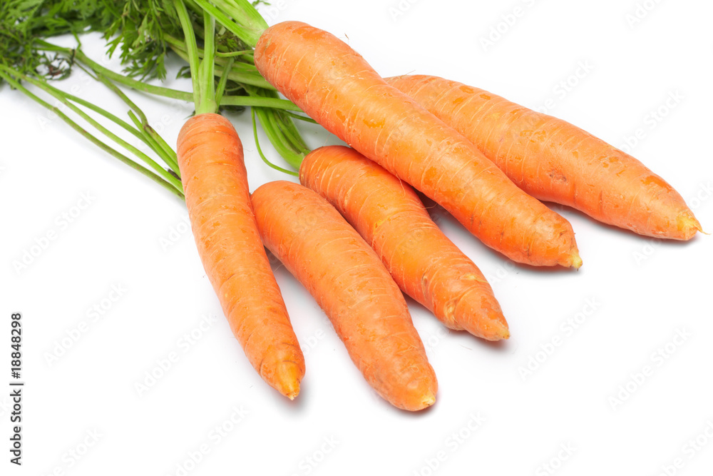 Fresh Vegetables carrots Fresh Vegetables carrots