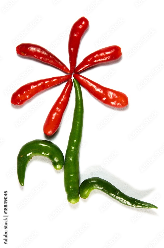 Flower from chili pepper Flower from chili pepper