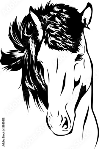 Icelandic Horse - Portrait 02