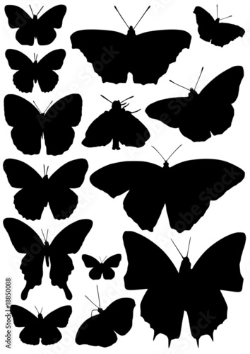 Collection of butterfly silhouettes - vector illustration