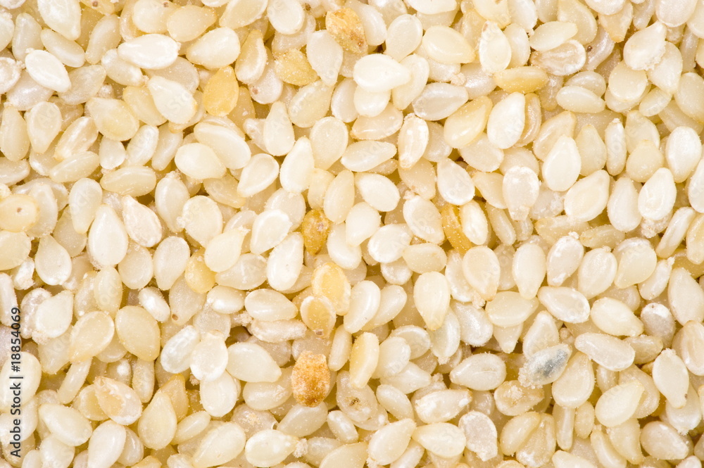 Sesame Seeds