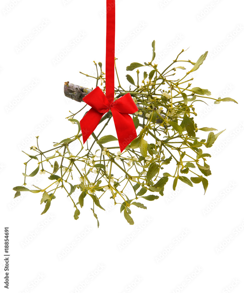 Mistelzweig StockFoto Adobe Stock