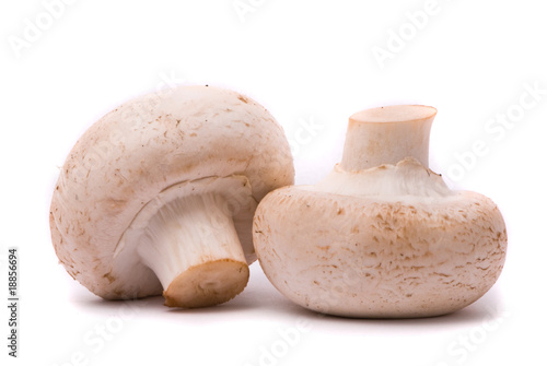 Fresh mushrooms isolated on a white background