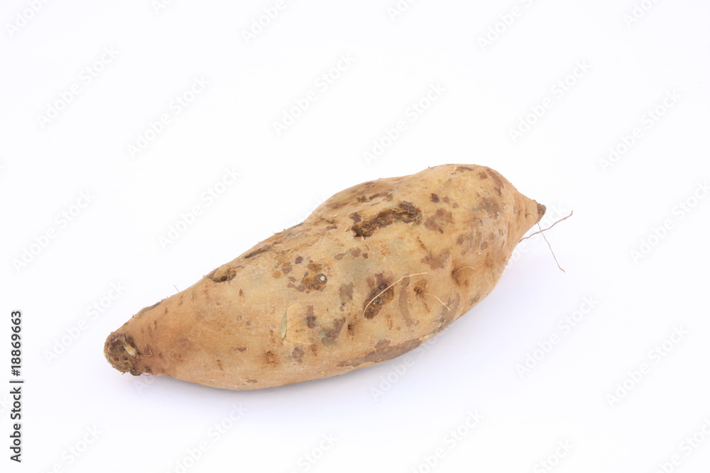 Fototapeta premium Sweet potato / 番薯