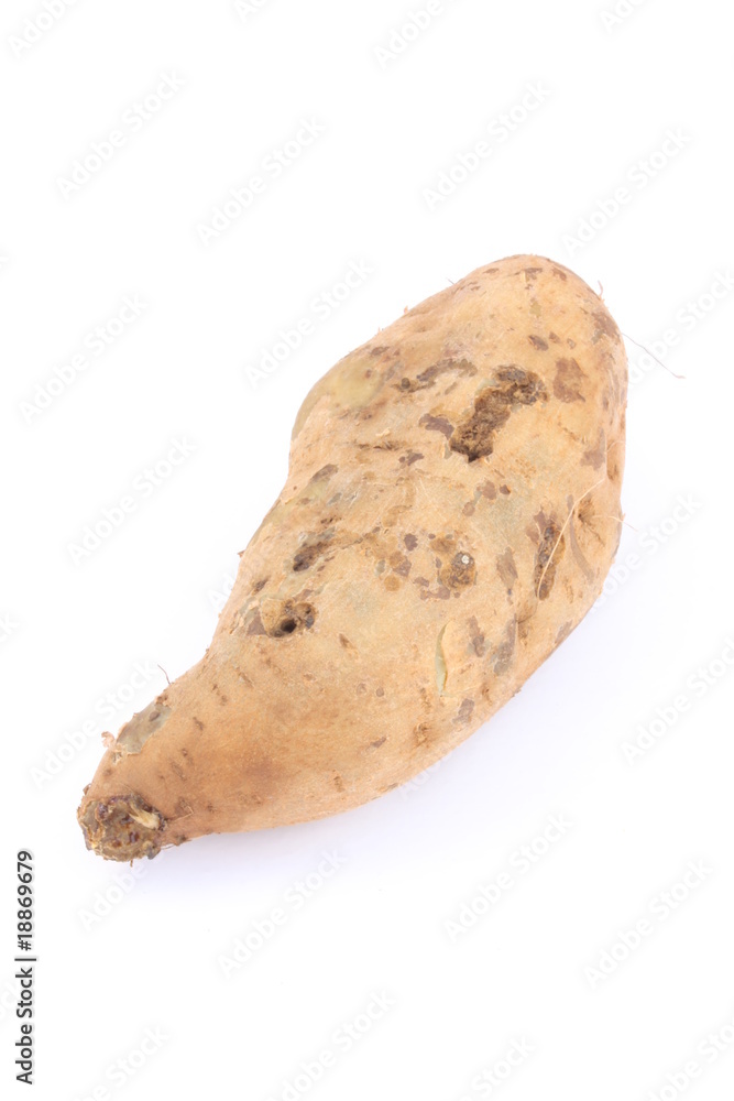 Sweet potato / 番薯 Sweet potato / 番薯