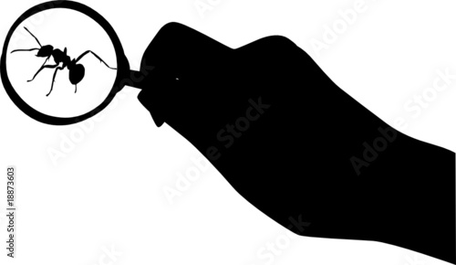 magnifying in hand and ant