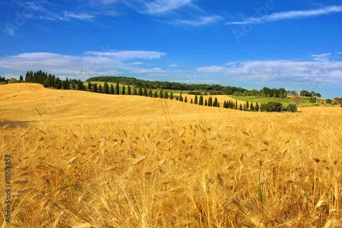 in the country
