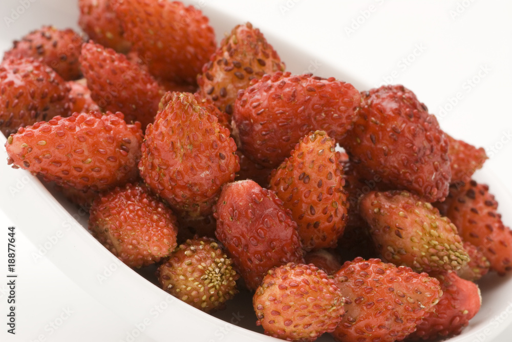 Wild strawberries. Wild strawberries.
