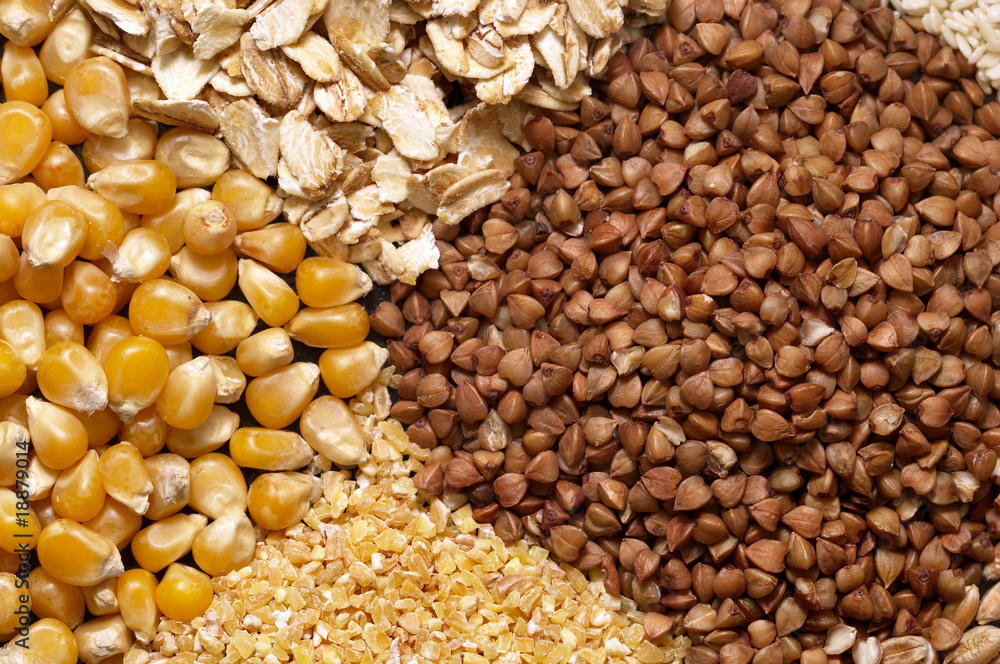 Fototapeta premium Cereals