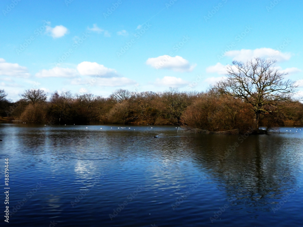 Obraz premium Hainault Forest Water
