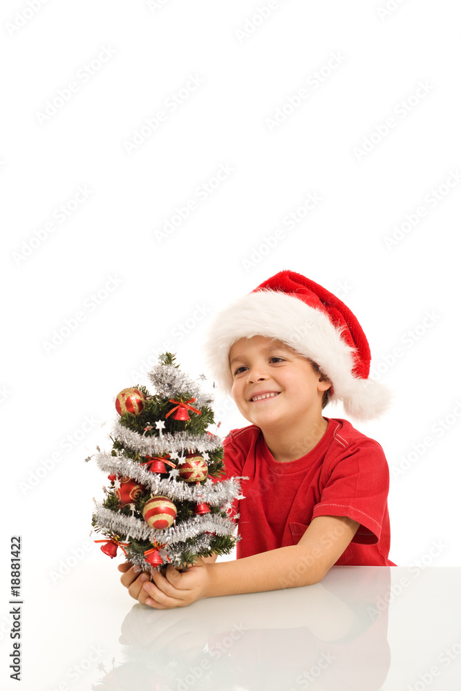 Happy boy with small christmas tree and santa hat Happy boy with small christmas tree and santa hat