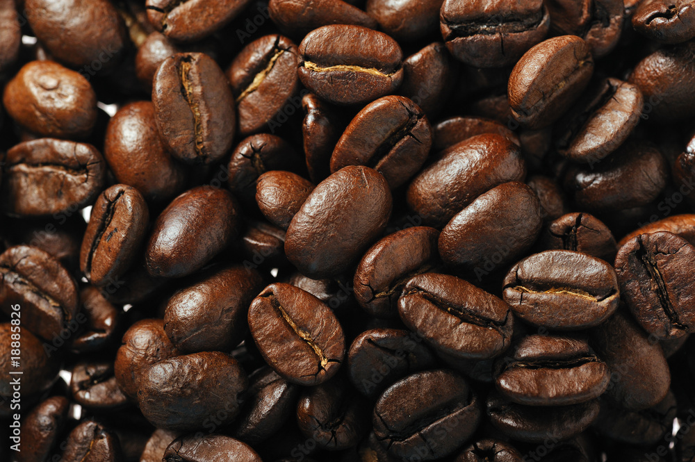 coffee beans background coffee beans background