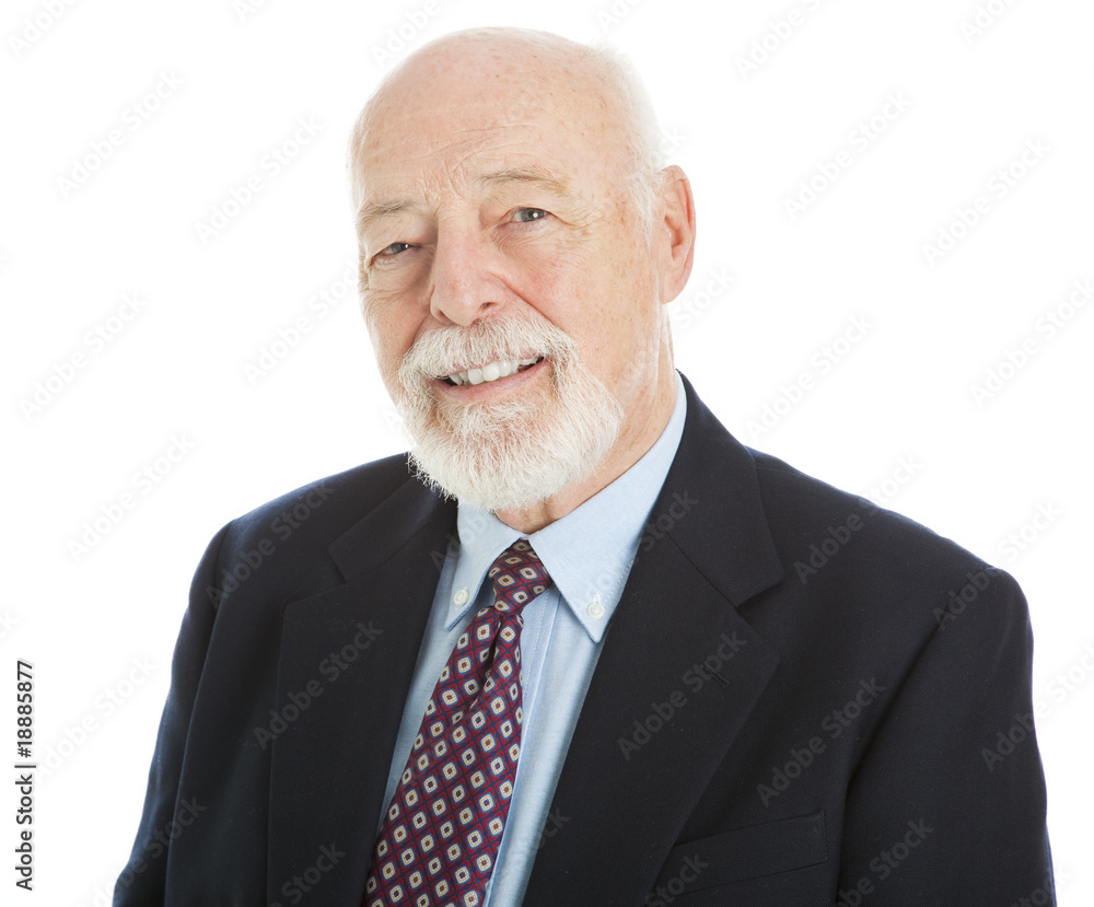 Handsome Senior Businessman Handsome Senior Businessman