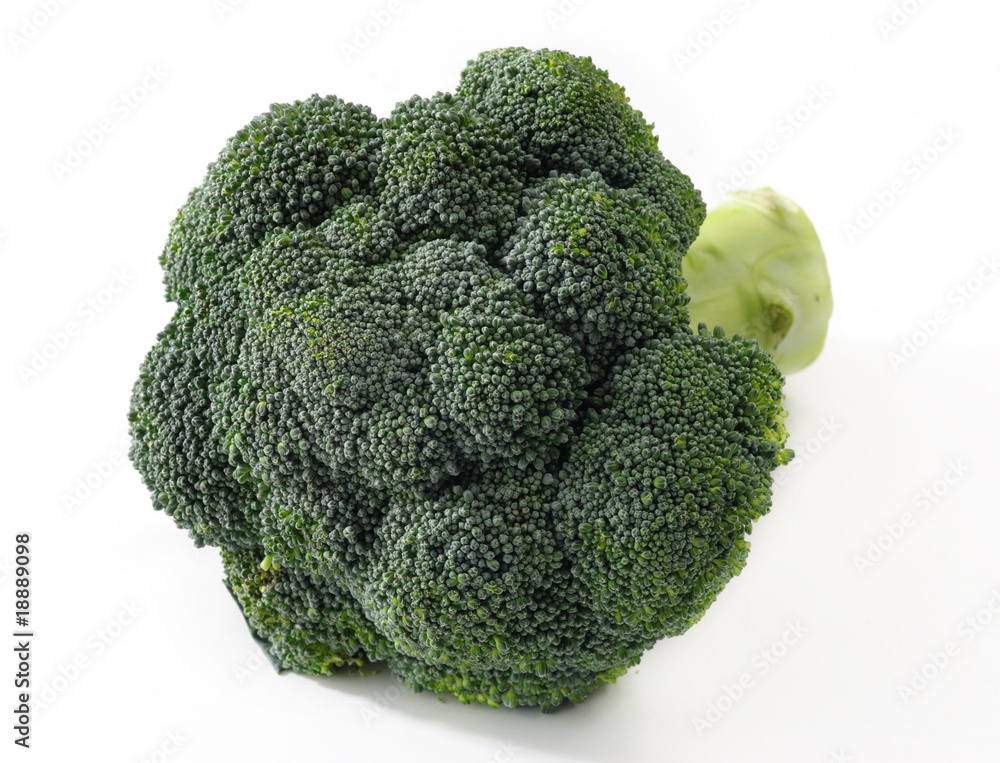 Broccoli isolated Broccoli isolated