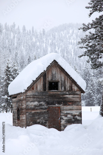 winter snowfall in rural area © konstantant