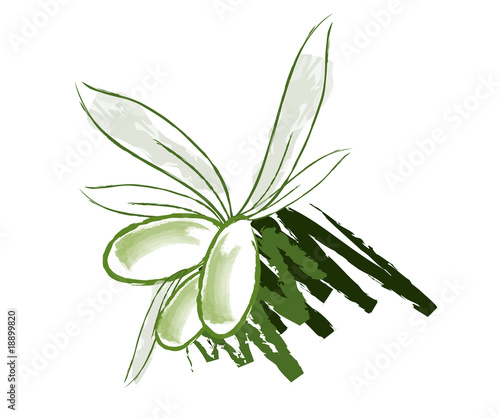Olive verdi disegnate
