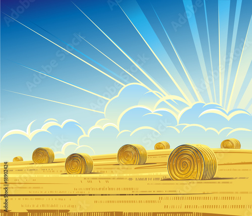 Summer rural landscape with hay