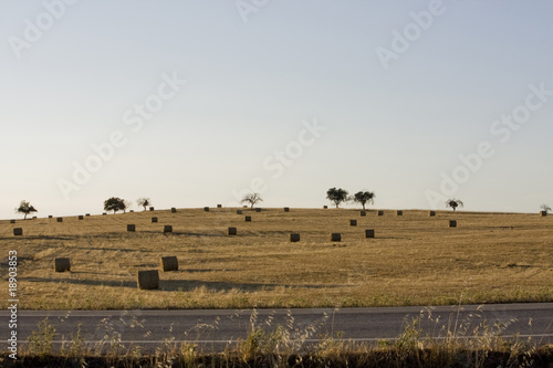 Haystack field