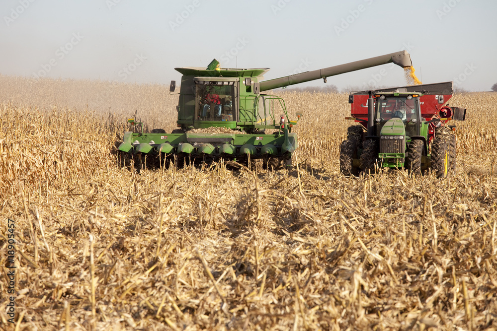 Obraz premium combine and tractor