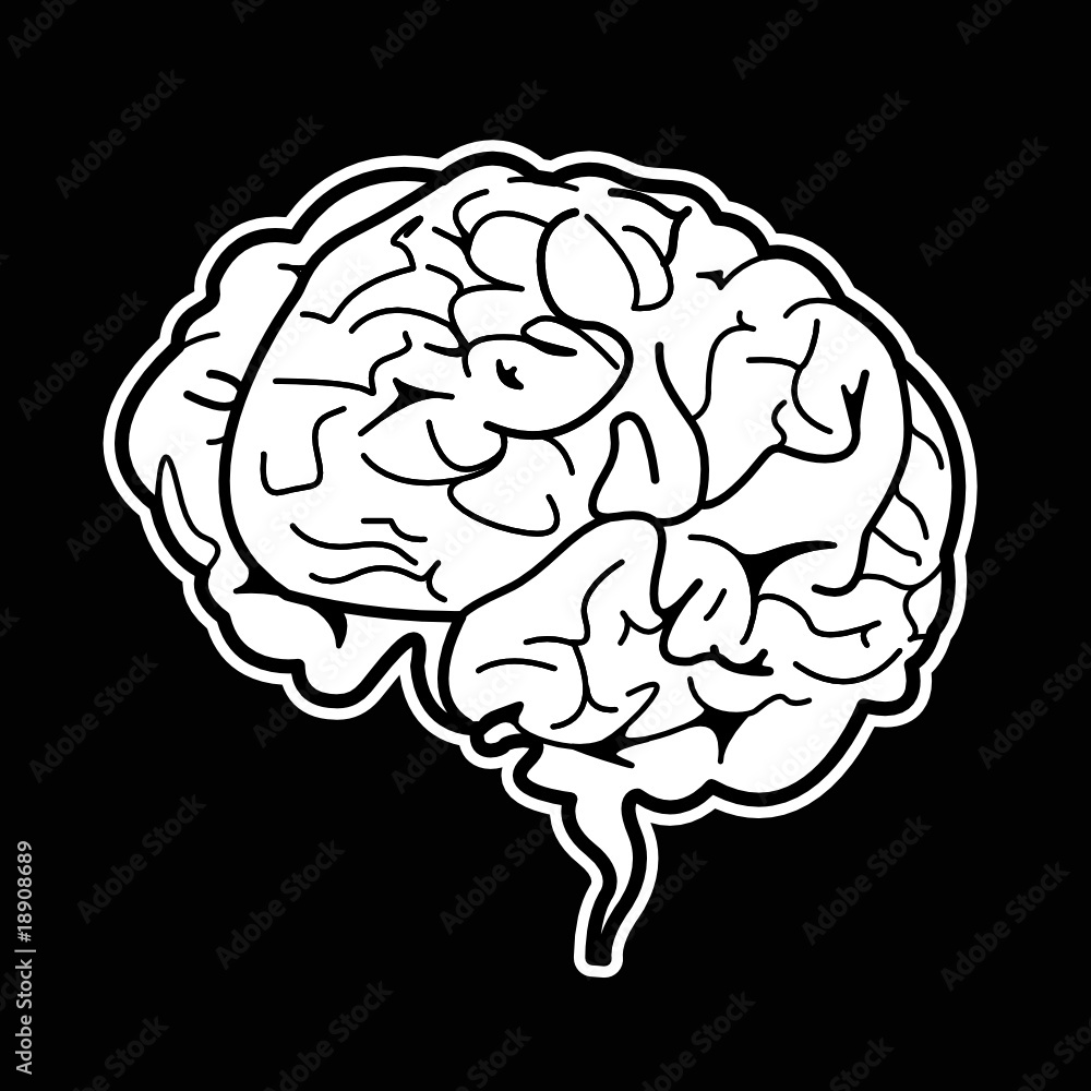 brain brain