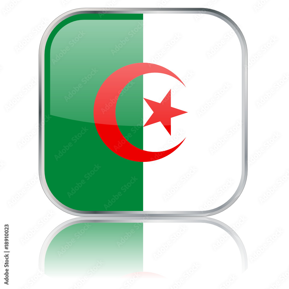 Algerian Square Flag Button (Algeria - Vector - Reflection) Algerian Square Flag Button (Algeria - Vector - Reflection)