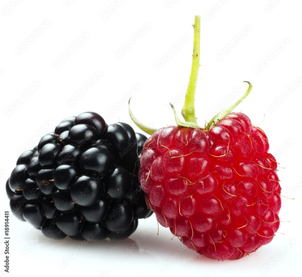 raspberry and blackberry raspberry and blackberry