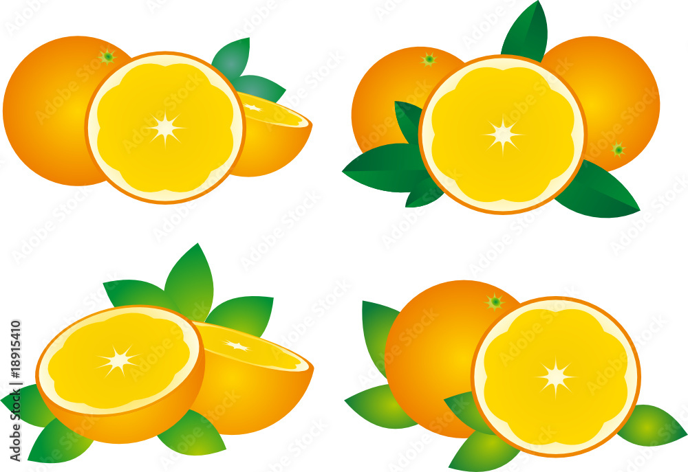 Orange vector Orange vector