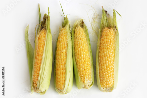 Corncob with husk abreast