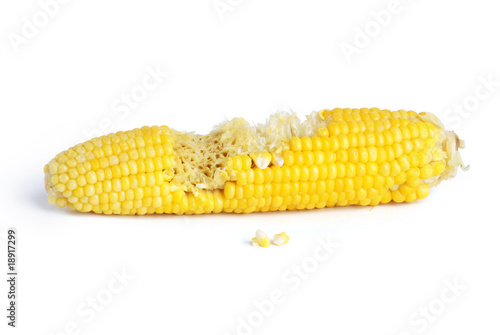 Bitten corncob on white