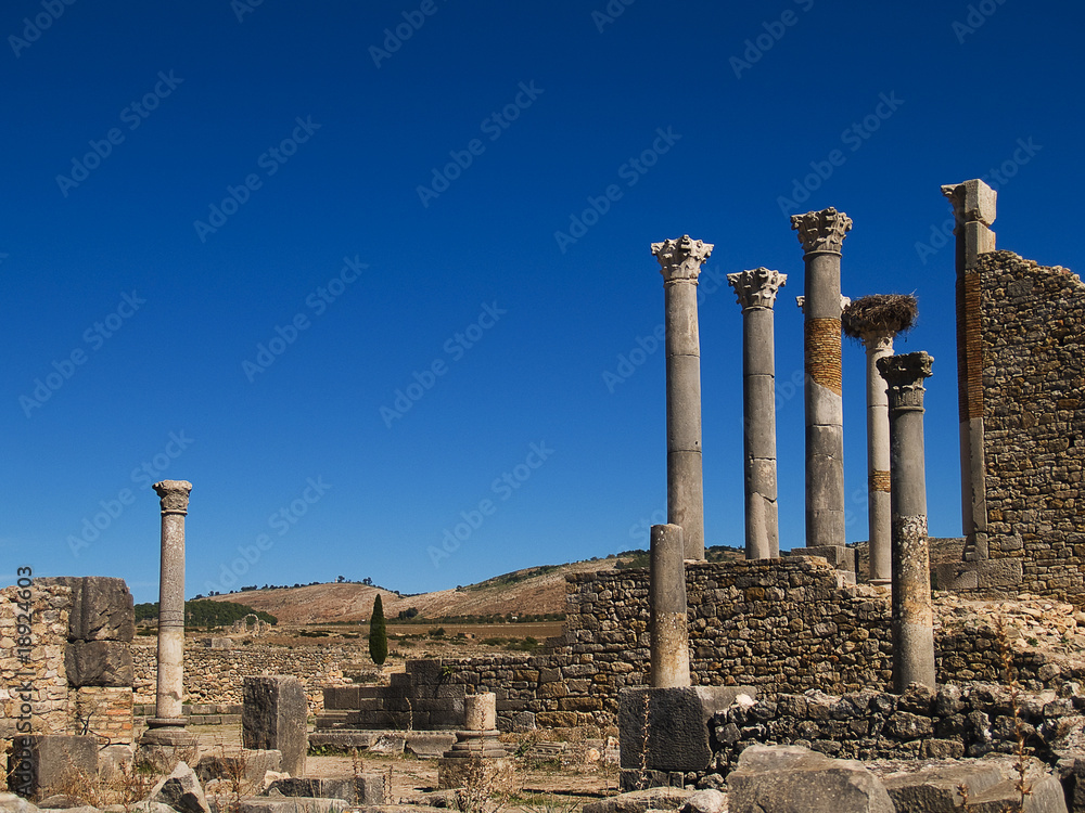 Fototapeta premium OLYMPUS DIGITAL CAMERA