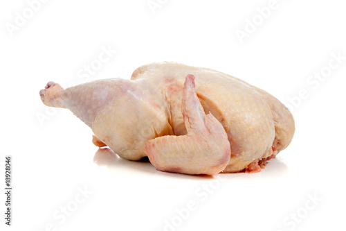 Raw chicken on a white background