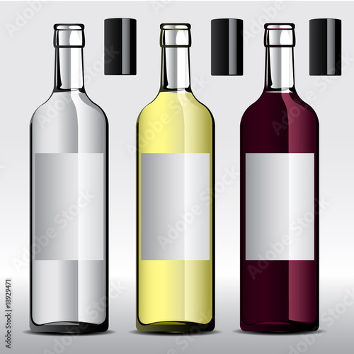 vector illustration of wine bottles with labels