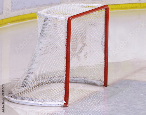 Photography hockey net