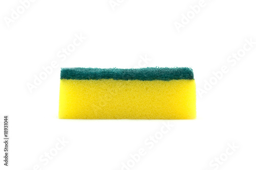 Sponge