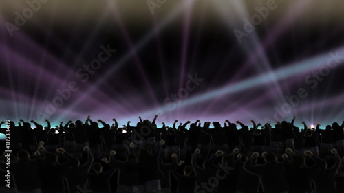 Crowd raising hands at concert
