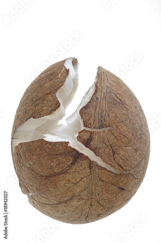 Coconut without shell