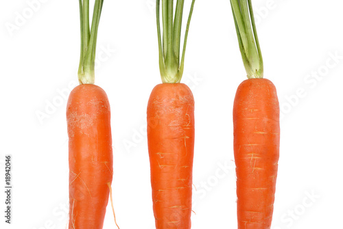 Three carrots on a white background