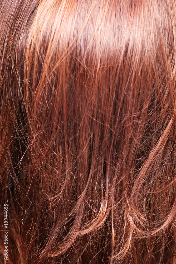 Fototapeta premium hair split ends with selective focus against hair texture