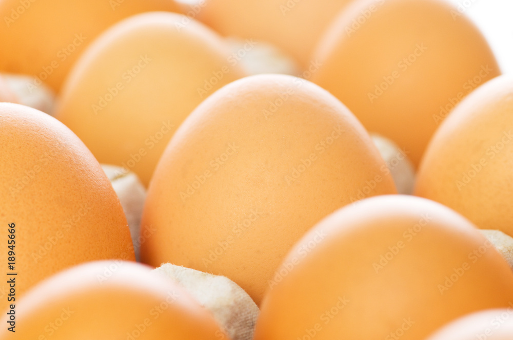 Chicken eggs in the carton Chicken eggs in the carton