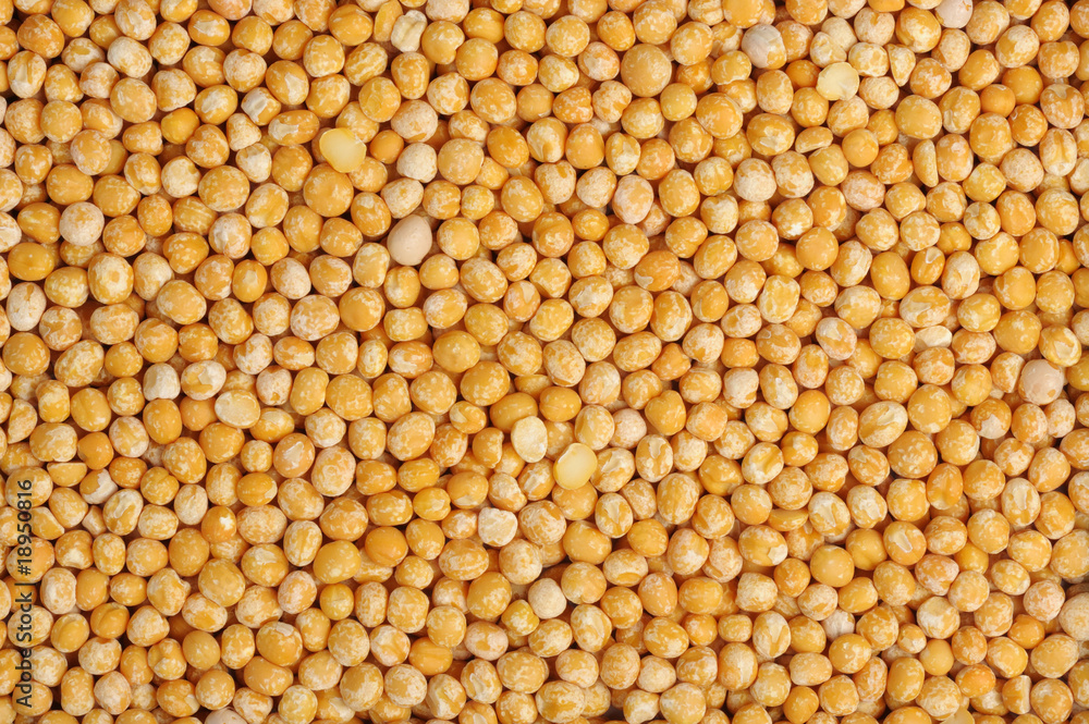 Pea, isolated Pea, isolated